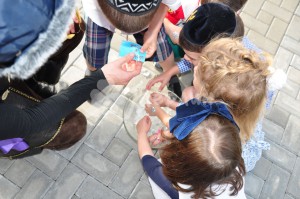 holodnoe-serdce-23