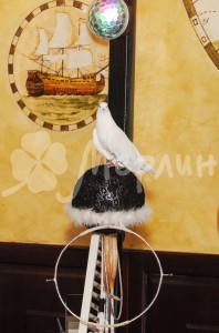 kot-v-sapogah-i-kisa-miagkolapka-60