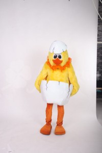 petushok-1
