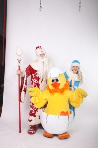 petushok-17