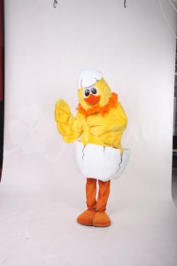petushok-2