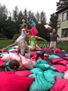 IMG 2666