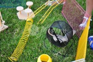 interaktivnyiy-zoopark-11