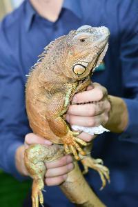 interaktivnyiy-zoopark-21