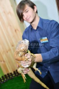 interaktivnyiy-zoopark-22