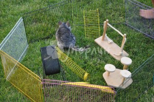 interaktivnyiy-zoopark-6